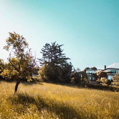 Bed & Breakfast Unter Den Linden Hungen Екстериор снимка
