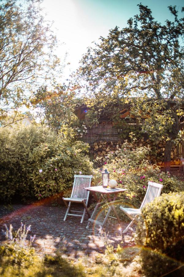 Bed & Breakfast Unter Den Linden Hungen Екстериор снимка