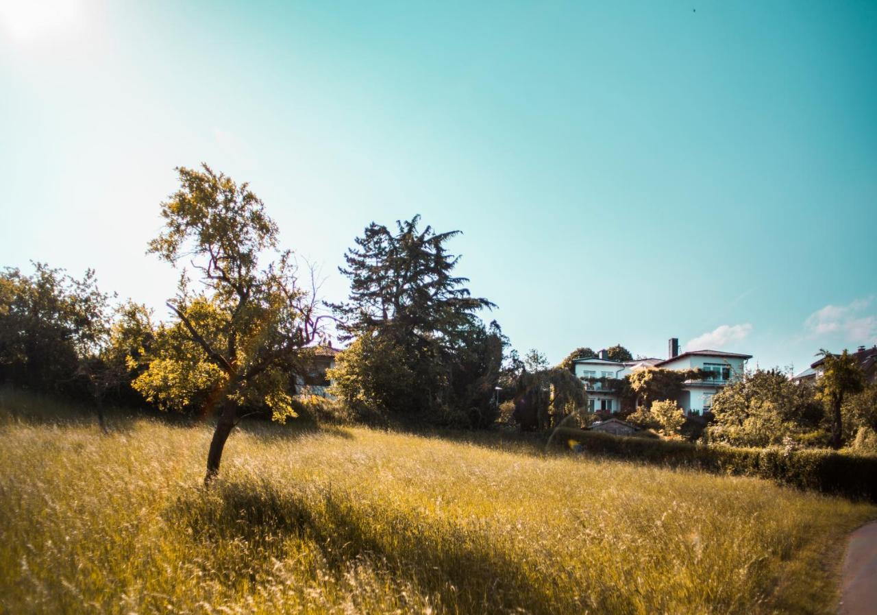 Bed & Breakfast Unter Den Linden Hungen Екстериор снимка