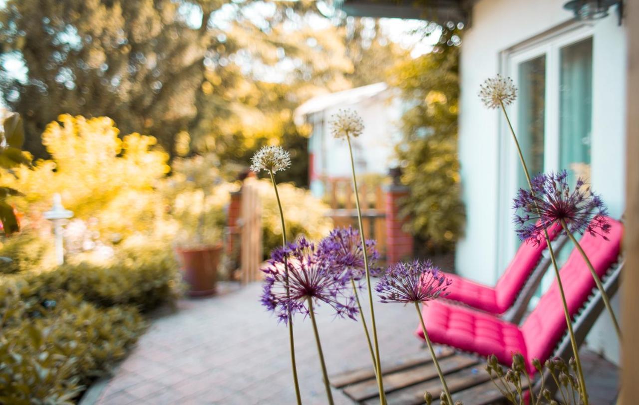 Bed & Breakfast Unter Den Linden Hungen Екстериор снимка